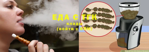 индика Алзамай