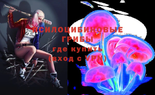 индика Алзамай