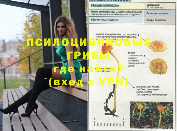 стафф Алексеевка